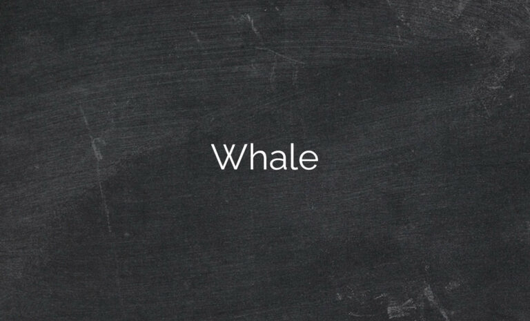 Whale