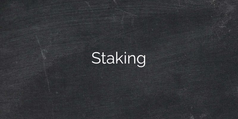 Staking1